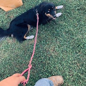 Custom 550 paracord dog collars and leashes.